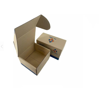 La scatola di Matt Lamination Auto Parts Packaging/il cartone contenitore di imballaggio ha ondulato lo SGS