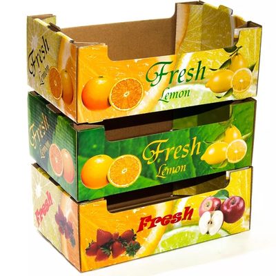 Frutta piegante del cartone dell'OEM e dimensione su misura scatole di Veg