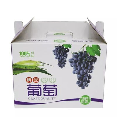 Contenitore di imballaggio dell'uva del cartone ondulato Dia9cm*H16cm riciclabile