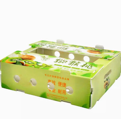 Plastica dei pp	L'imballaggio della frutta inscatola l'anti elettricità statica del piatto della scatola vuota di volume d'affari