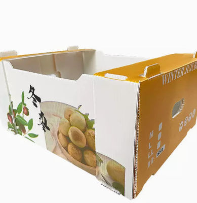 Plastica dei pp	L'imballaggio della frutta inscatola l'anti elettricità statica del piatto della scatola vuota di volume d'affari