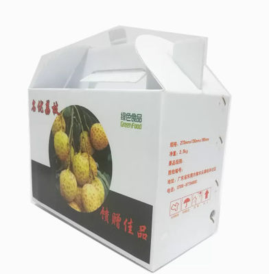 Scatole in plastica ondulata per frutta e verdura in PP riutilizzabili su misura