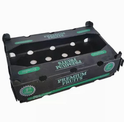 Il polipropilene d'imballaggio dei contenitori di frutta di larghezza 2200mm fruttifica scatola di plastica d'imballaggio
