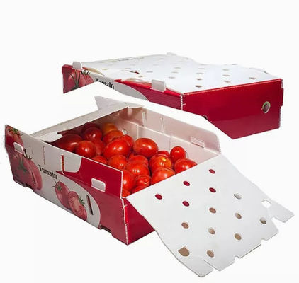 Le verdure fruttificano scatole d'imballaggio hanno ondulato l'elettricità statica di plastica protettiva